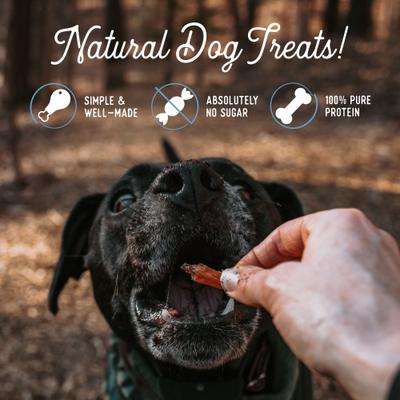 Turkey Breast Strips Dog Jerky Treats, 10-oz bag