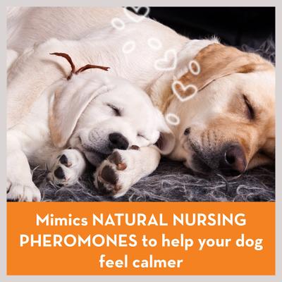 Bundle: ThunderEase Pheromone Calming Spray + Diffuser for Dogs