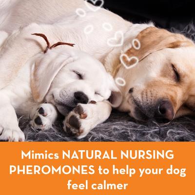 Bundle: ThunderEase Pheromone Calming Spray + Diffuser for Dogs