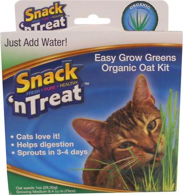 Easy Grow Cat Oat Grass Kit