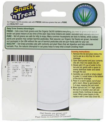 Kit de hierba de avena para gatos de fácil cultivo