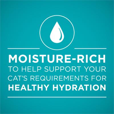 Grain-Free Variety Pack Natural High Protein Canned Cat Food, 3-oz, case of 24