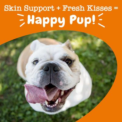 Hemp Elements Omega OraStix Peppermint Flavored Dog Dental Chews, 25-oz bag