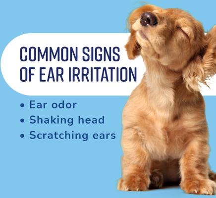 Fresh & Soothing Dog Ear Cleaner, 4-fl oz bottle