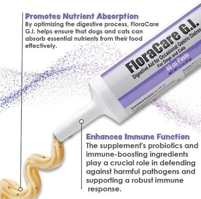FloraCare G.I. Dog & Cat Supplement, 60-cc