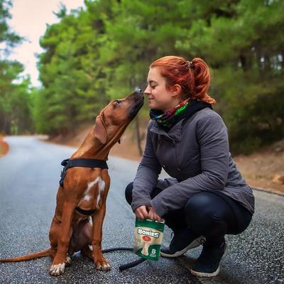 Hip & Joint Formula Medium Dog Treats, 8 count