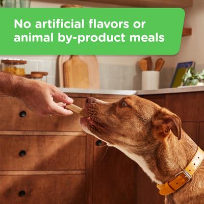 Soup Bones Minis with Real Chicken & Veggies Chews Dog Treats, 16 count