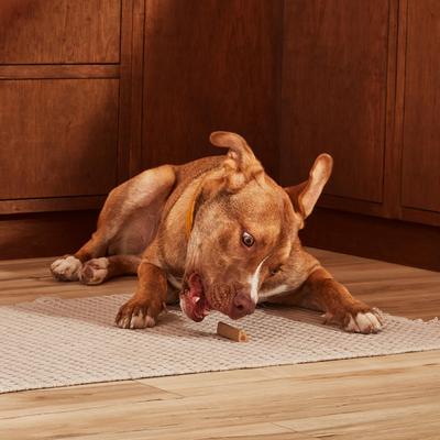 Soup Bones Minis with Real Chicken & Veggies Chews Dog Treats, 16 count