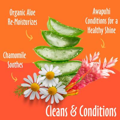 Mango Tango Cat & Dog Grooming Wipes, 100 count