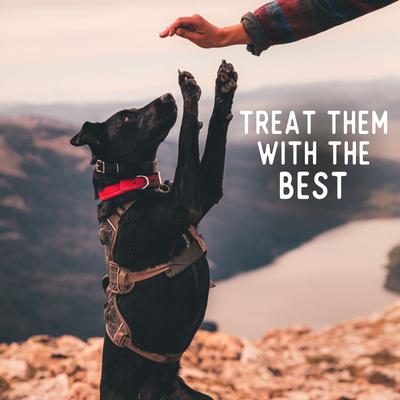 Whole Beef Chips All Natural Single Ingredient Dog Treats, 8-oz bag