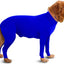 Original Dog Onesie, Royal Blue, XX-Small