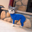 Original Dog Onesie, Royal Blue, XX-Small