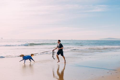 Original Dog Onesie, Royal Blue, XX-Small