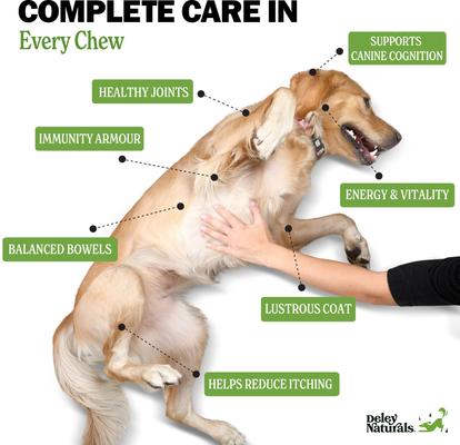 15-in-1 Multivitamin Chicken Flavor Dog Vitamin, 12.7oz Carton, 120 count