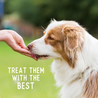 The Farmyard & Pasture Variety Whole Chicken Turkey & Beef Chips Natural Single Ingredient Dog Treats, 3.5-oz, case of 4