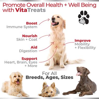 Vita Treats 15 in 1 Multivitamins Natural Chicken Flavor Soft Chews Dog Supplement, 120 count