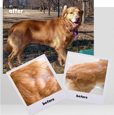 HP Snip Tips for Medium & Large Dogs, 250 count