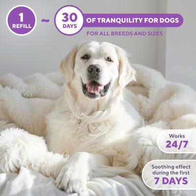 Calming Pheromone Refill Dog Diffuser, 3-oz bottle, 2 count