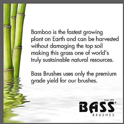 Style & Detangle Dog & Cat Oval Brush, Bamboo-Dark Finish, Small, 2 count