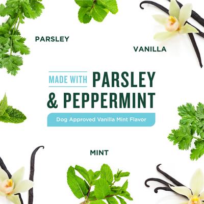 VetIQ Minties Twists Large Vanilla Mint Dental Dog Treats, 12-oz bag, count varies