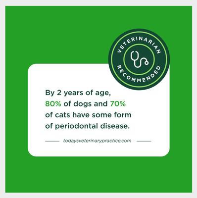 VetIQ Minties Twists Large Vanilla Mint Dental Dog Treats, 12-oz bag, count varies