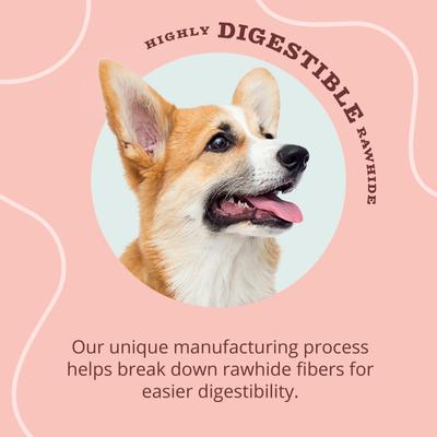 Triple Flavor Kabobs Salmon, Venison & Lamb Highly Digestible Rawhide Dog Treat Chews, 18 count