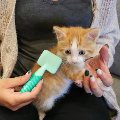 Coated Tips Cat Slicker Brush