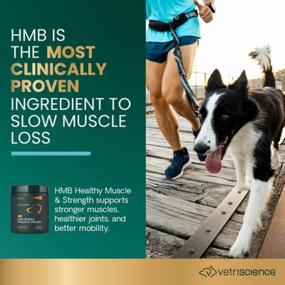 HMB Healthy Muscle & Strength Pork Flavored Granules for Dogs, 8.47-oz bag