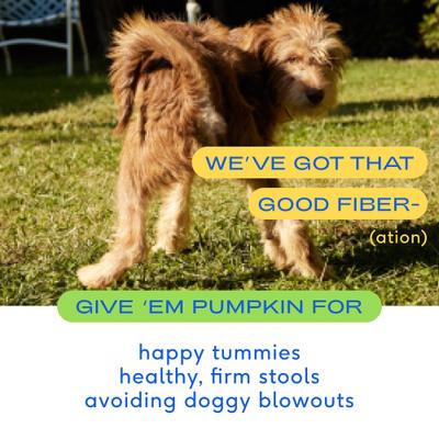 Bundle: Native Pet Organic Pumpkin Fiber & Diarrhea Relief, 8-fl oz + Omega 3 Fish Oil Skin & Coat Health Dog Supplement, 8-fl oz