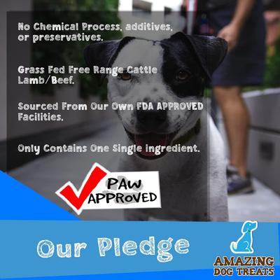 Bacon & Cheese Filled Dog Bones, 4 count