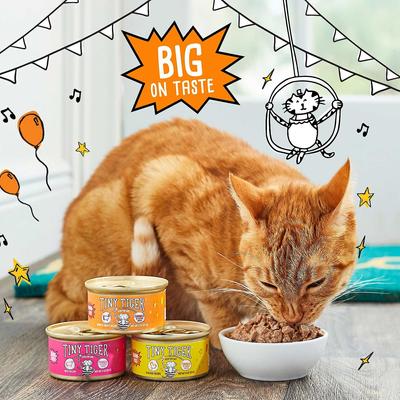 Bundle: Tiny Tiger Chunks in EXTRA Gravy Beef & Poultry Recipes Grain-Free Canned Food + Crunchy Bunch, Chicken Cannonball, Chicken Flavor Cat Treats