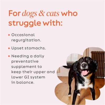 G.I. Balance Digestive Support Dog & Cat Supplement, 3.1-oz jar