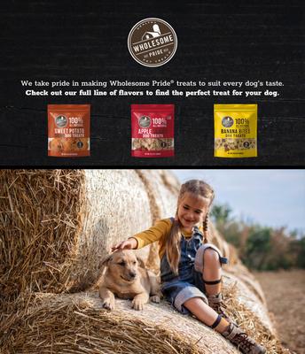 Sweet Potato Bites 100% All-Natural Single Ingredient Dog Treats, 16-oz