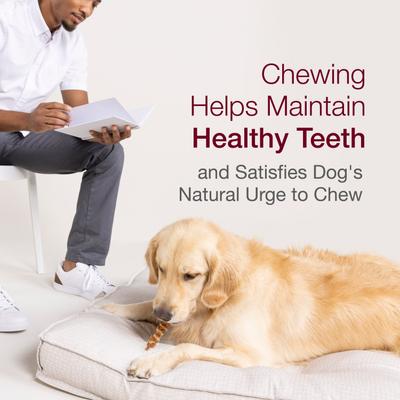 Easy-to-Digest High Protein Chicken & Sirloin Rawhide-Free Dog Chews, 8 count