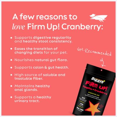 Firm Up! Pumpkin Plus Cranberry Super Dog & Cat Supplement, 4-oz bag