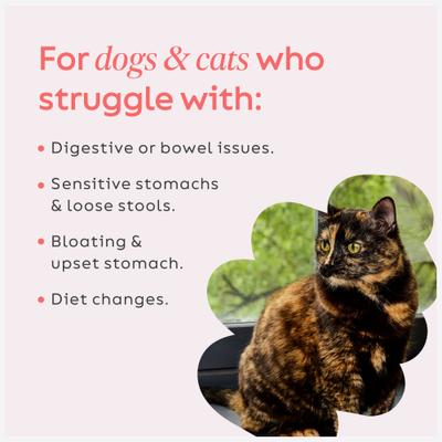 Firm Up! Pumpkin Plus Cranberry Super Dog & Cat Supplement, 4-oz bag