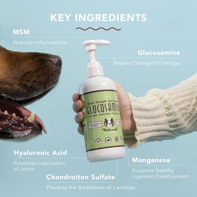 Bundle: Natural Dog Company Skin & Coat Omega-3 & Omega-6 Oil Dog Supplement, 16-fl oz bottle + Extra Strength Joint Support Liquid Glucosamine, 16-fl oz bottle