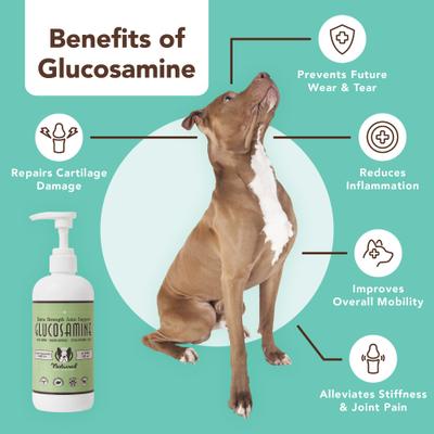Bundle: Natural Dog Company Skin & Coat Omega-3 & Omega-6 Oil Dog Supplement, 16-fl oz bottle + Extra Strength Joint Support Liquid Glucosamine, 16-fl oz bottle