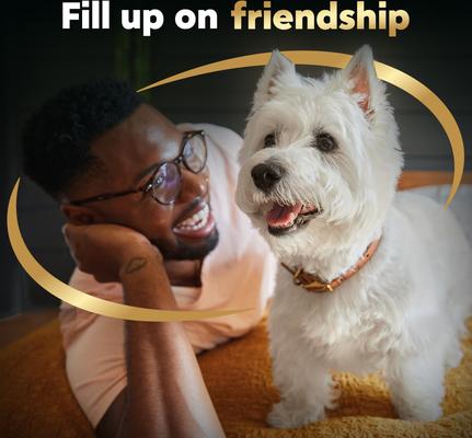 Rotisserie Chicken Flavor & Spring Vegetables Garnish Small Breed Dry Dog Food, 5-lb bag