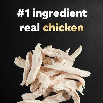 Rotisserie Chicken Flavor & Spring Vegetables Garnish Small Breed Dry Dog Food, 5-lb bag