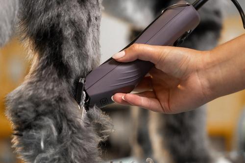 KM10+ Pro Pet Grooming Clipper, Purple