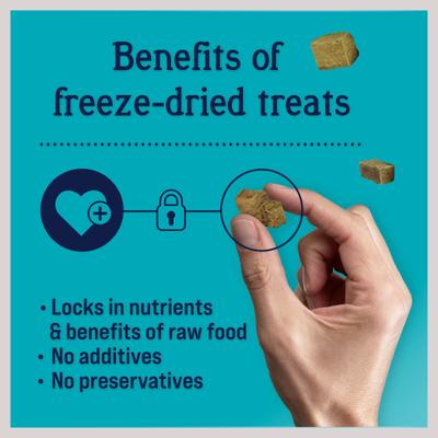 Bundle: Stewart Chicken Liver + Chicken Breast Freeze-Dried Dog Treats