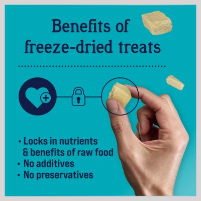 Bundle: Stewart Chicken Liver + Chicken Breast Freeze-Dried Dog Treats