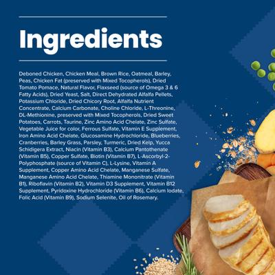 Life Protection Formula Small Bite Adult Chicken & Brown Rice Recipe Dry Dog Food, 15-lb bag