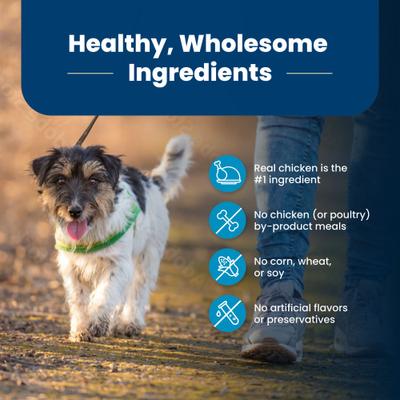 Life Protection Formula Small Bite Adult Chicken & Brown Rice Recipe Dry Dog Food, 15-lb bag