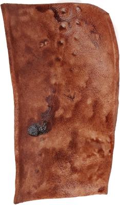 Beef Basted Rawhide Chips Dog Treats, 16-oz bag