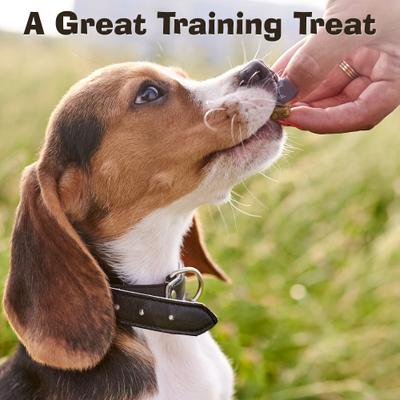 Premios para perros con receta de carne de res Jerky Jibbs, bolsa de 5 oz