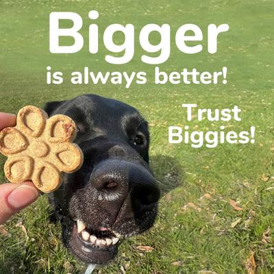 Biggies with Real Peanut Butter & Banana Dog Treats, 16-oz bag
