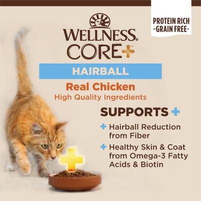 CORE+ Hairball Chicken Pate Natural Wet Cat Food, 2.8-oz can, case of 12