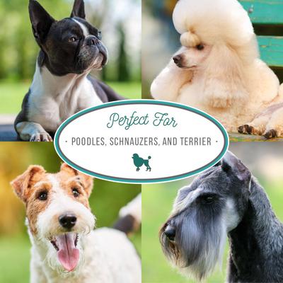 Almond Crisp Dog Shampoo, 16-fl oz bottle